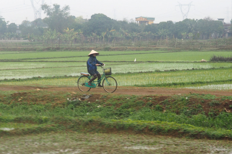 Farmer cycling in the fields