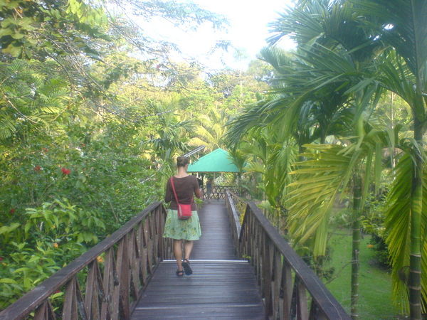 The path to our room