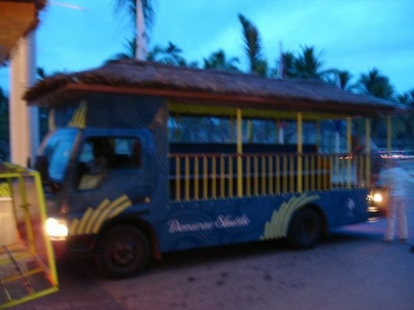 The thatched Bula Bus