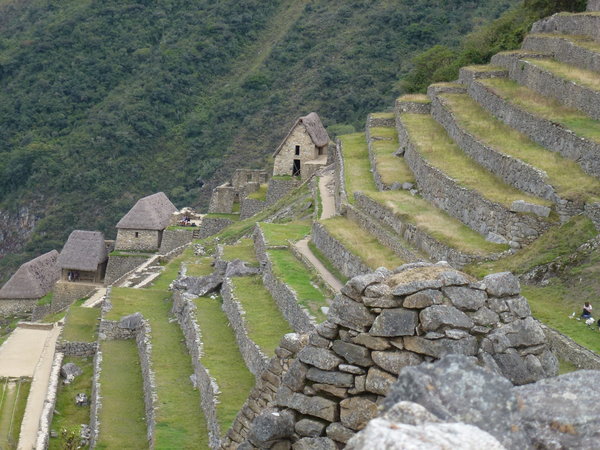 The Terraces Made by the Inca