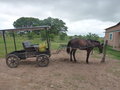 A Horse and Wagon Parked outside the shop