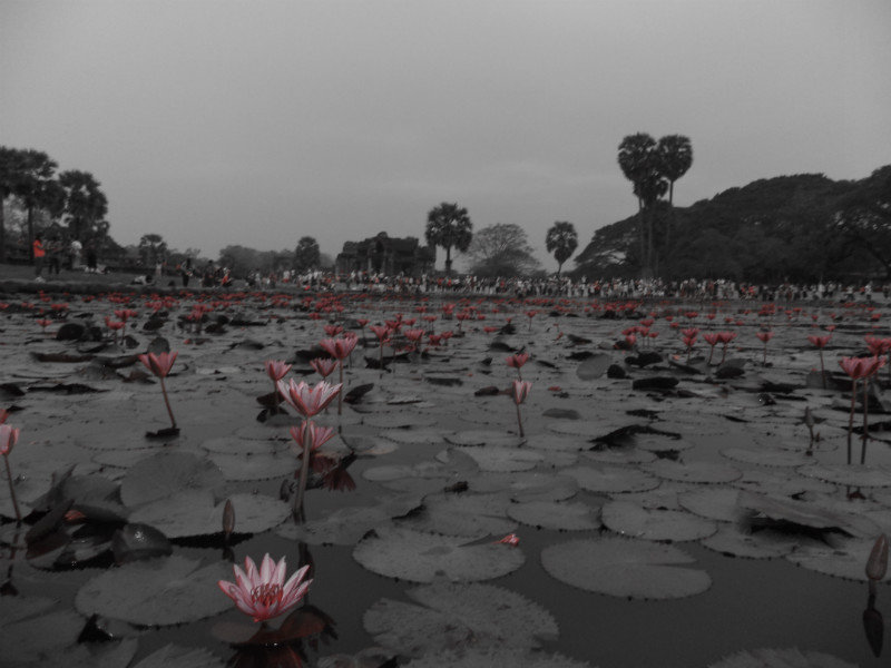 Angkor Lake