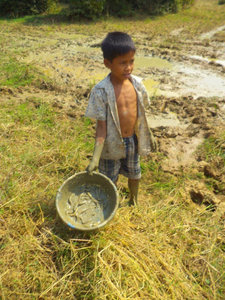 Fishing for food in mud . . .