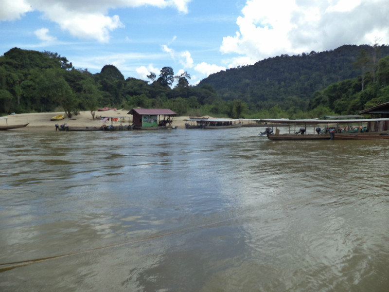 river crossing to jungle