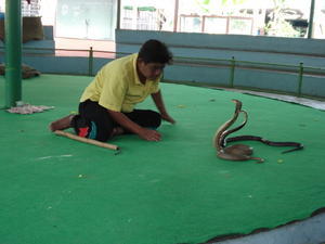 Snake charmer