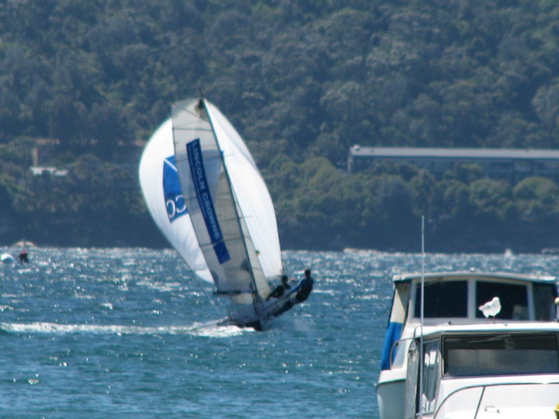 49er racing in Sydney Harbour