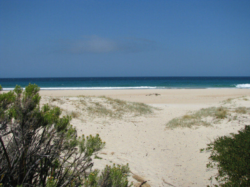 Tasmania has the same beautiful beaches that all of Australia is well known for 