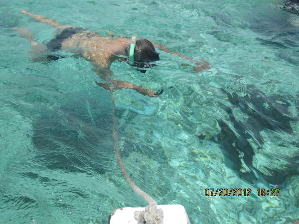 With  Nurse Shark and Sting Ray