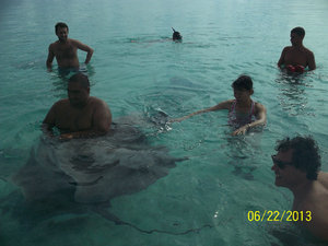 Swimming with Stingray