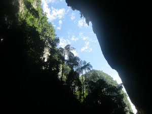The Deer cave, world largest