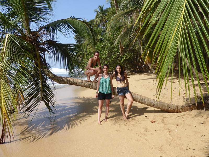 Me, Fanny & Aroa with the perfect palmtree