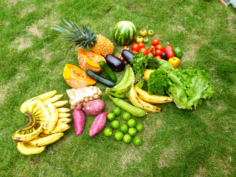Frutas y verduras de la feria de la agricultura 