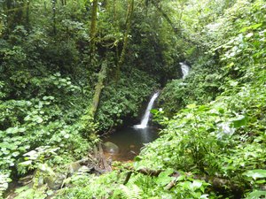 Waterfall in Monteverde