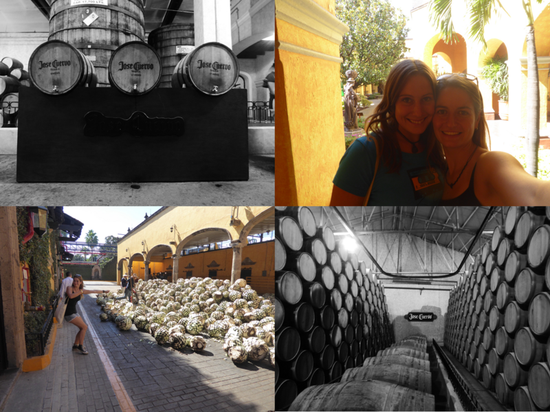 Visiting a distillery in Tequila