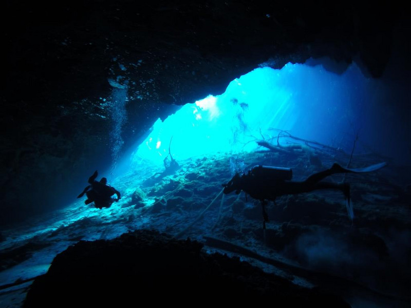 Diving in the underworld - the cenotes
