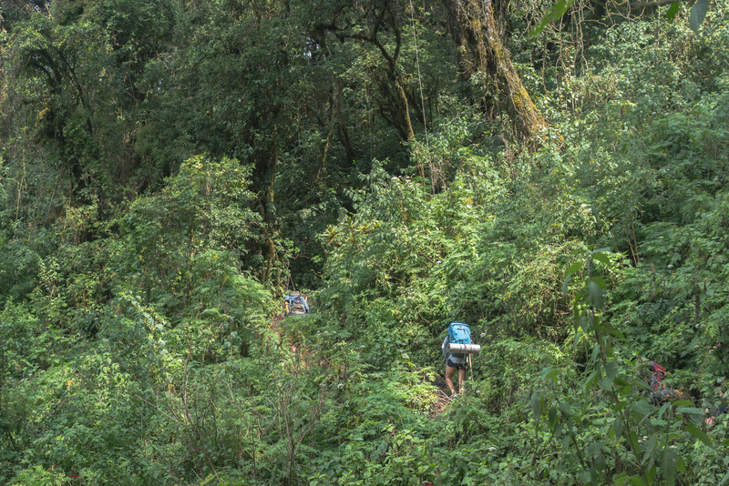Hiking through the Jungle (Acatenango)