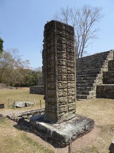 a Maya calender