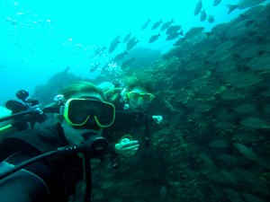 Diving at Cano Island, with Mitch