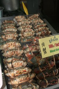 meat crabs