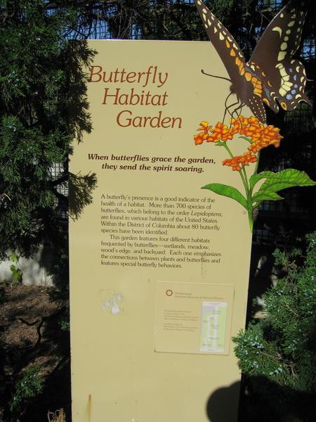 The Butterfly Habitat Garden