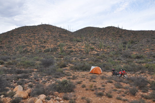 First night camping in the desert. It was cold. Did not see any snakes or scorpians so I was happy.