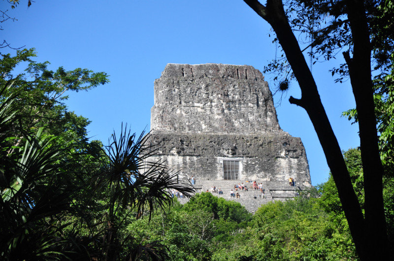 Tikal, highest temple in Central America.