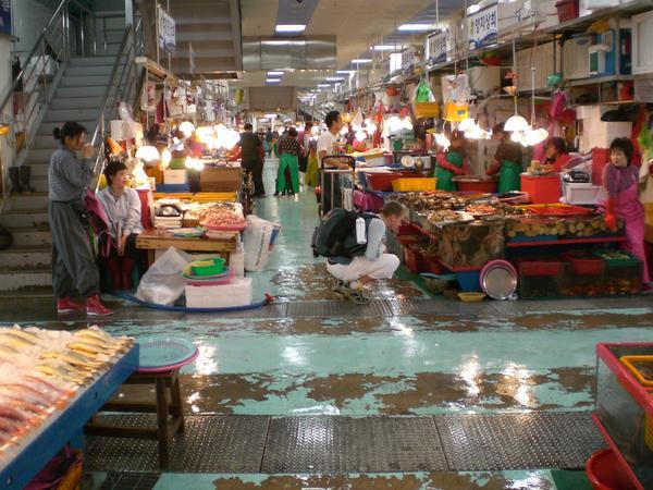 Jagalchi Fish market