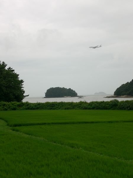 Rice paddies and Aeroplanes