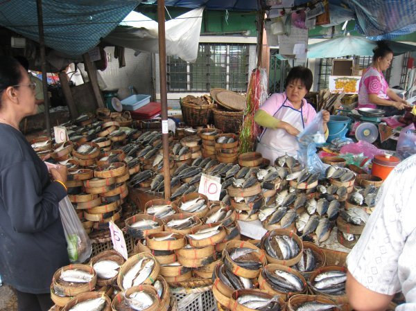 Fish in the market