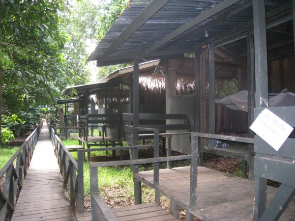 Our cabins