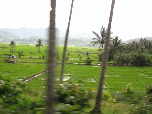 The view began with endless rice paddies, which gradually gave way to jungle