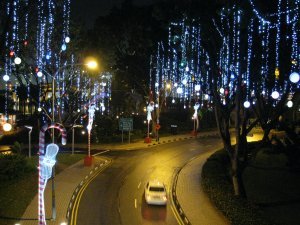 The Christmas lights