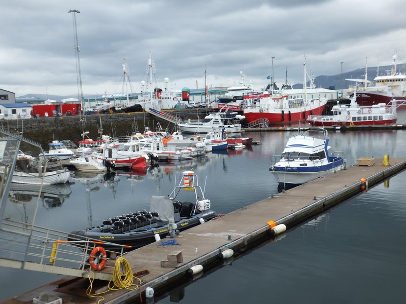 The Old Harbour in Reykjavik