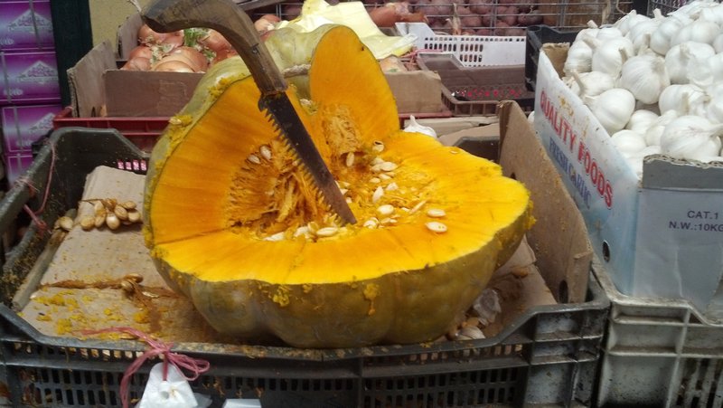 HUGE pumpkin like vegetable, about the size of a large beach ball