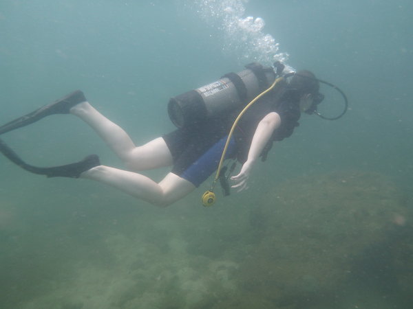more of sara diving