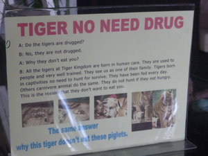Tiger No Need Drug