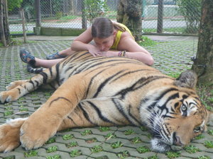 Sara...hoping the tiger doesn't wake up