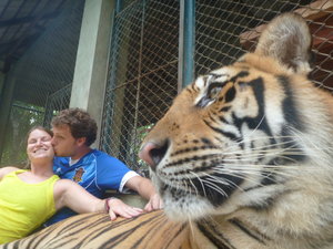 Tiger kiss