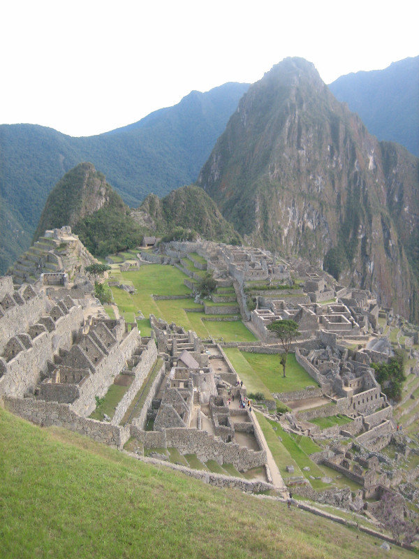 Machu Picchu 014