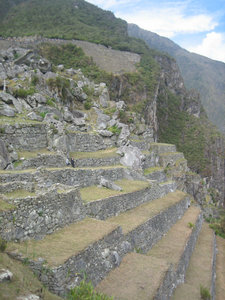 Machu Picchu 075