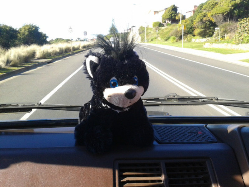 On the road with 'Lily' our Tassie devil watching over us