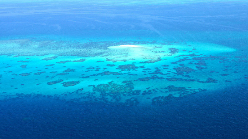 stukje Great Barrier Reef