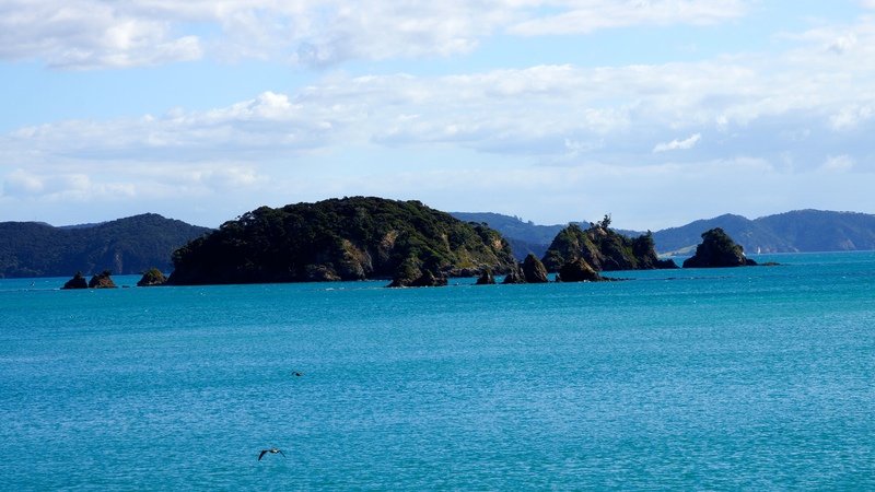 ergens in the Bay of Islands
