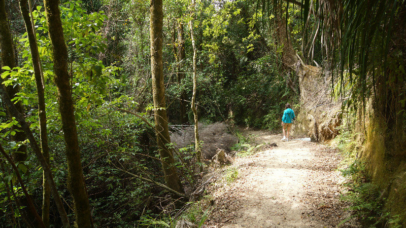tijdens de wandeling in Abel Tasman Park