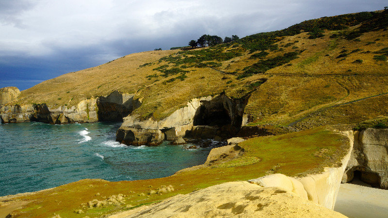 Zandkliffen aan Tunnel Beach - Dunedin