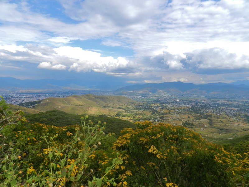 Monte Alban View