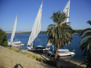 The Felucca Clan