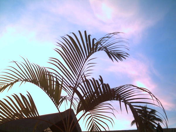 Beautiful Fijian Sky