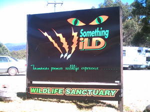 Something Wild - Wildlife Sanctuary