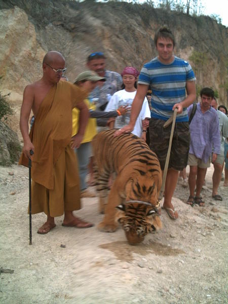Me walking a Tiger